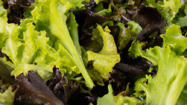 Salada Alface Receita Deliciosa Na Airfryer