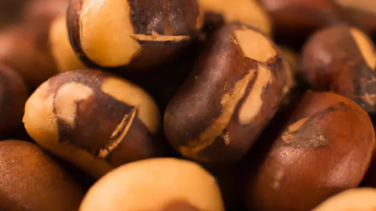 Castanhas cruas, agora uma delícia saudável?