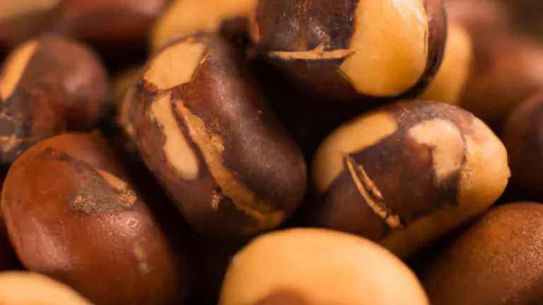 Descubra como a Airfryer revoluciona o sabor das castanhas cruas!